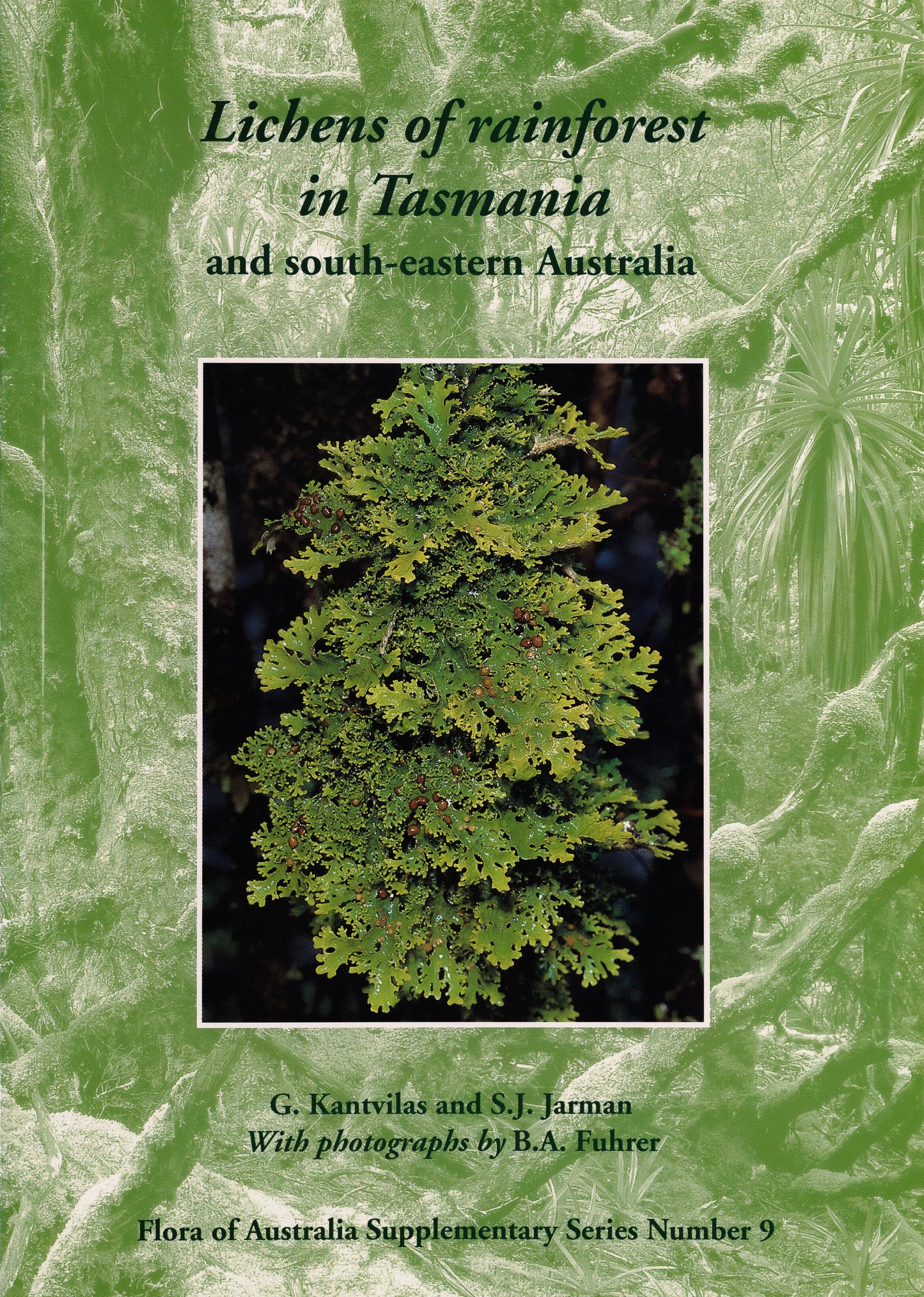 Lichens of rainforest in Tasmania and south-eastern Australia